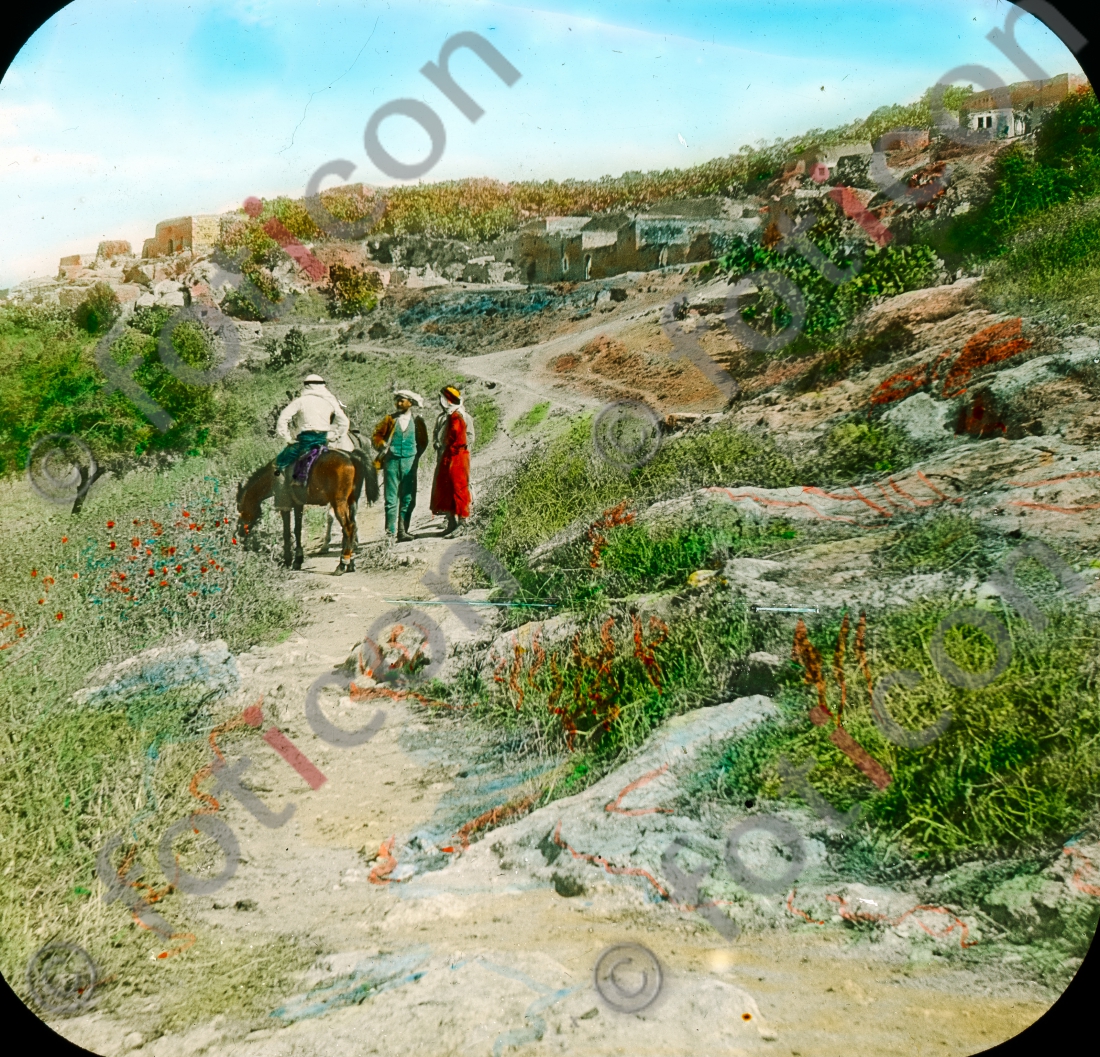 Hirten in Palästina | Shepherds in Palestine (foticon-simon-054-064.jpg)